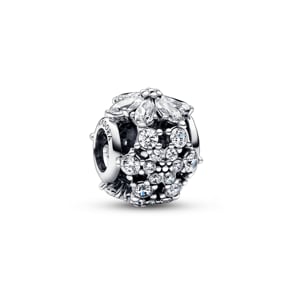 Pandora Moments Funkelndes Herbarium Cluster Rundes Charm