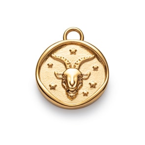Paul Hewitt Capricorn Charm Goldig