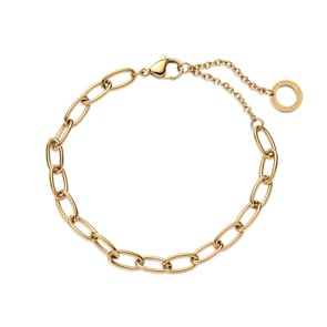 Paul Hewitt Charm-Bracelet Anchor Link Marinium Ocean Steel Gold