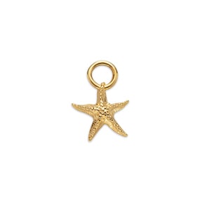 Paul Hewitt Charm Starfish Marinium Ocean Steel Goldig