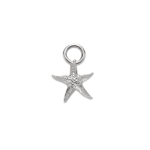Paul Hewitt Charm Starfish Marinium Ocean Steel Silbrig