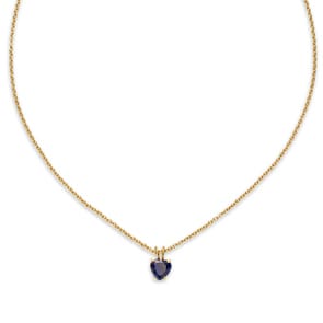 Paul Hewitt Halskette Heart of the Sea Marinium Ocean Steel Goldig