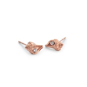 Paul Hewitt Stud Earrings Sea Shell Marinium Ocean Steel Rose