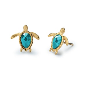 Paul Hewitt Ohrstecker Turtle Marinium Ocean Steel Aquamarine Goldig
