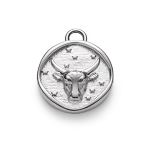Paul Hewitt Taurus Charm Silbrig
