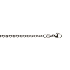 Rundankerkette 750/18 K Weissgold 3.1mm