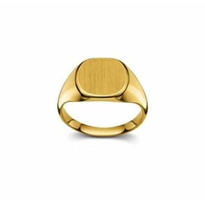 Wappenring 750/18 K Gelbgold, 12 x 12mm