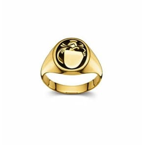 Wappenring 750/18 K Gelbgold, 14 x 12mm