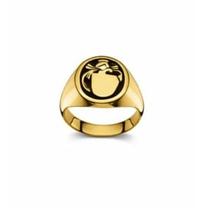 Wappenring 750/18 K Gelbgold, 15 x 13mm