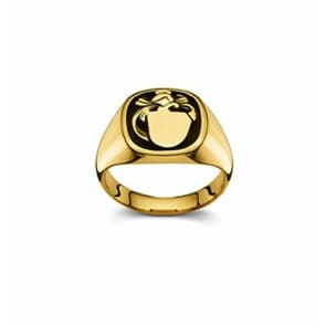 Wappenring 750/18 K Gelbgold, 13 x 13mm