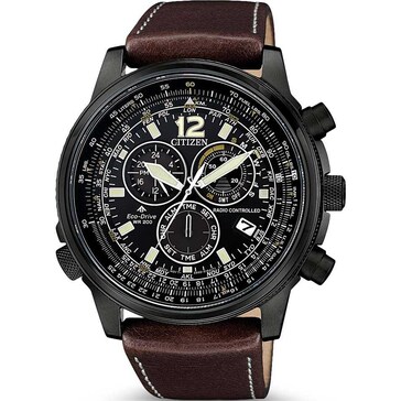 citizen promaster eco drive pilot